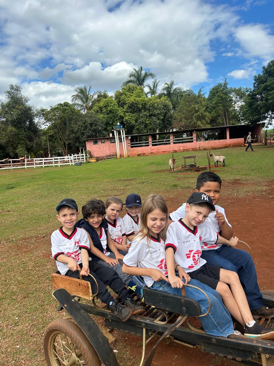 Passeio na fazendinha 3 porquinhos